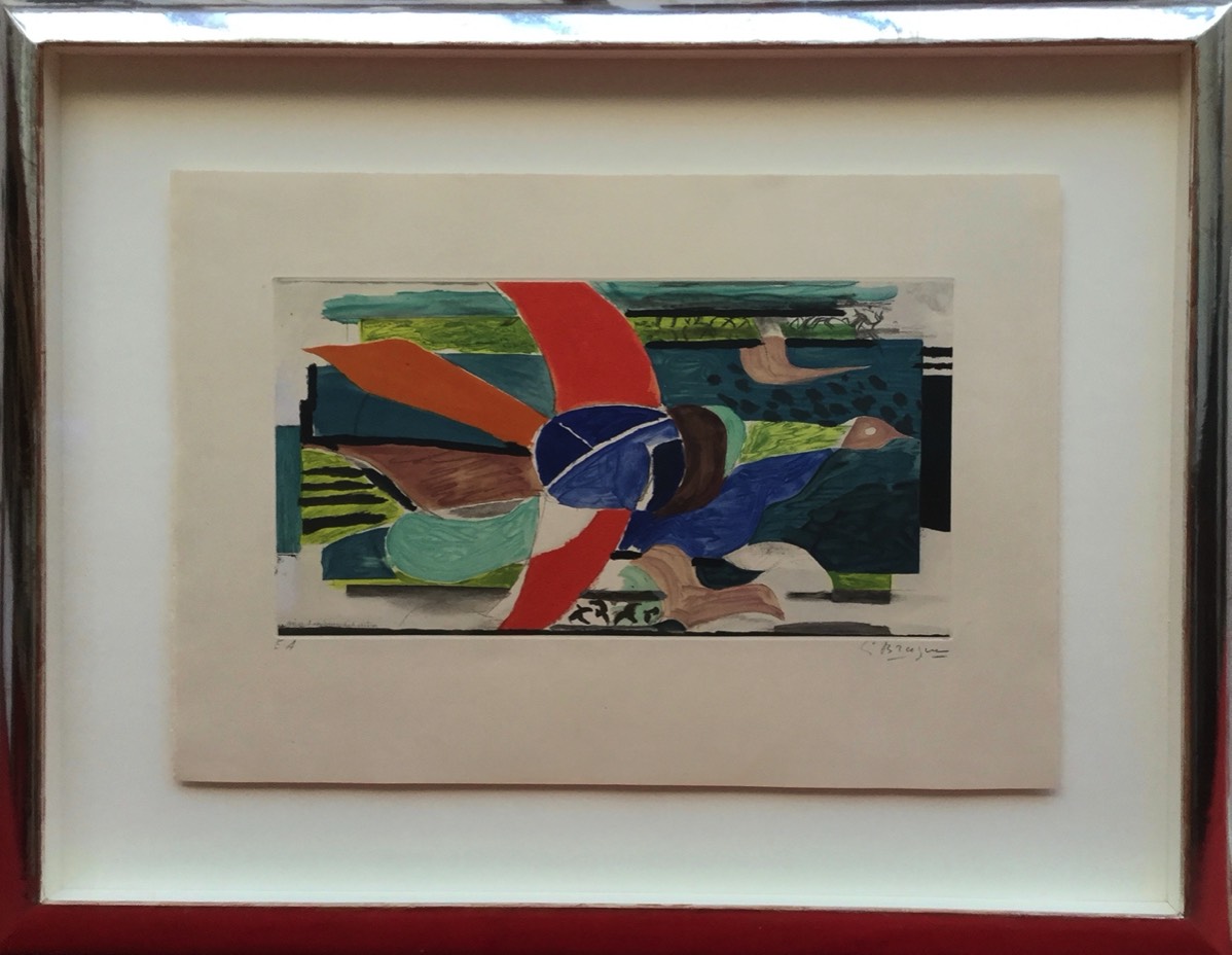 Braque Multicolore