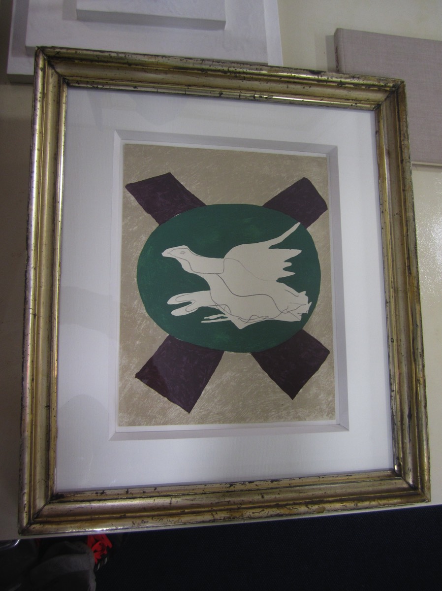 Oiseau sur fond x