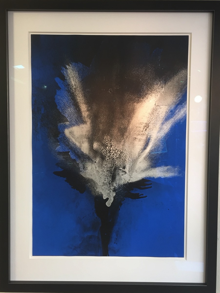 Blaue Feuerblume